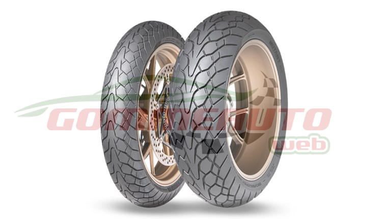 COP. 150/60 ZR17 66W MUTANT